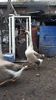 VideoCapture_20190408-230208