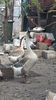 VideoCapture_20190330-194709