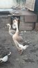 VideoCapture_20190324-210519