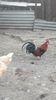 VideoCapture_20190324-210058