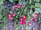 apr.2019