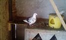 received_752659125108460
