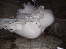 IMG-20190412-WA0018