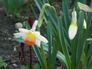15 apr (12)