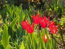15 apr (21)