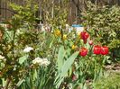 15 apr (24)
