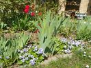 15 apr (26)