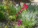 15 apr (39)