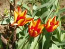 15 apr (41)