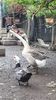 VideoCapture_20190414-203549