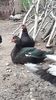VideoCapture_20190414-203920