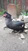 VideoCapture_20190414-203641