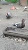 VideoCapture_20190414-204121