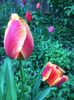 DB1B0039-1A75-4866-8A3D-F3DAFD5B44FB