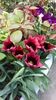 20190417_132429(0)