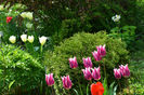 Spring green si Ballade