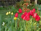 24 apr (3)