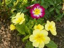 24 apr (10)