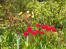 24 apr (42)
