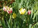 24 apr (55)