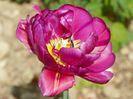 26 apr (1)