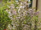 26 apr (4)