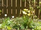 26 apr (8)