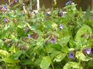 26 apr (10)