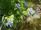 26 apr (11)