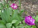 26 apr (12)