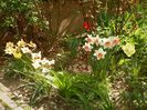 27 apr (2)