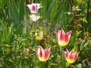 27 apr (12)