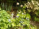 27 apr (16)