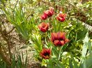 27 apr (32)