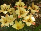 27 apr (40)