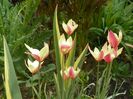 27 apr (50)