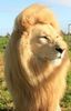 ⤑ᵖᶤᶰᵏĿЄ♏ØИÂÐЄ ┊vezi ca vorbesti despre limba unui rege tarzan=)))))))# toarce(
