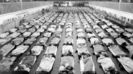 8. Gripa spaniola din 1918