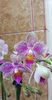 received_343305526292952