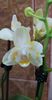 received_2303540766555565
