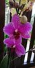 received_354421985413830