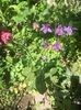 686AEB25-89B5-4A74-97A1-2B0BB1158480