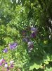92E34097-EE1B-412D-98FF-BD9F328DF0D2