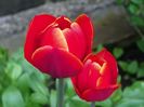 3 mai (44)