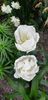 20190505_120100(0)