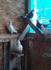IMG-20190418-WA0011