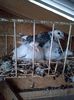 IMG-20190418-WA0025