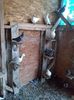 IMG-20190418-WA0015