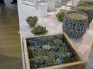 ceramica