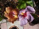 P1410020